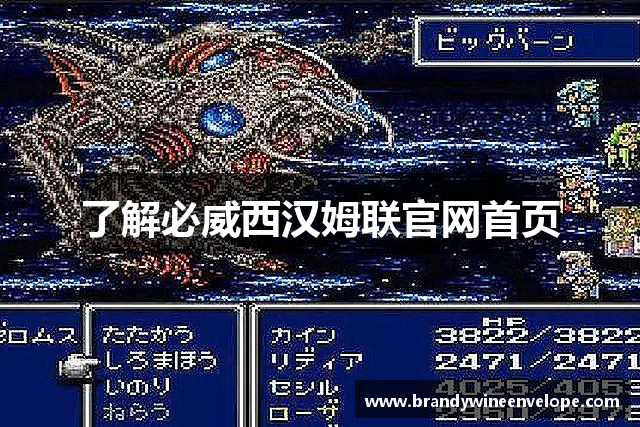 BETWA西汉姆联(西汉姆联)官方网站|Ultra Platform